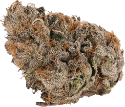 Grape Noir 8
